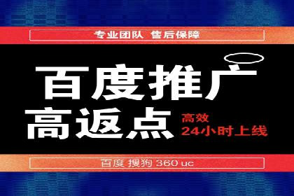 专业竞价SEM托管成功案例解析