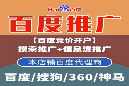成功案例解读：SEM推广代运营策略